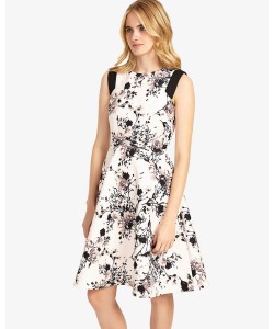 phase eight darcy belted dress